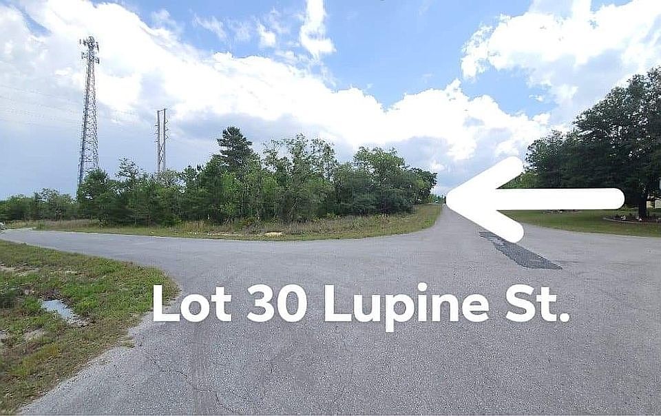 2nd image of 30 Lupine St
