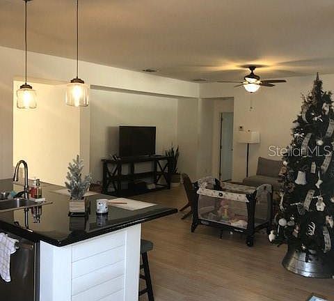 4th image of 2209 Guiana Plum Dr