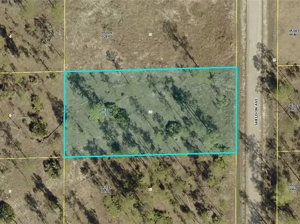 1315 Sheldon Ave, Lehigh Acres, FL 33972