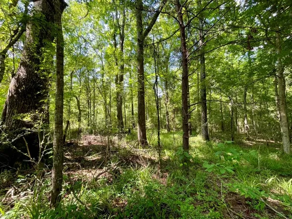 1 Cole Dr SE, Ruth, MS 39662