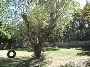 4th image of 31 Camille Ln