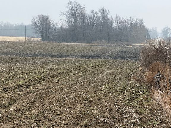 2nd image of 5126 Sheldon Rd