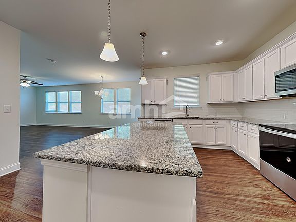 4th image of 119 Hamilton Park Dr
