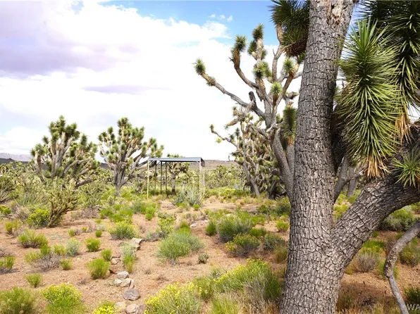 0 N Spur Dr, Dolan Springs, AZ 86441