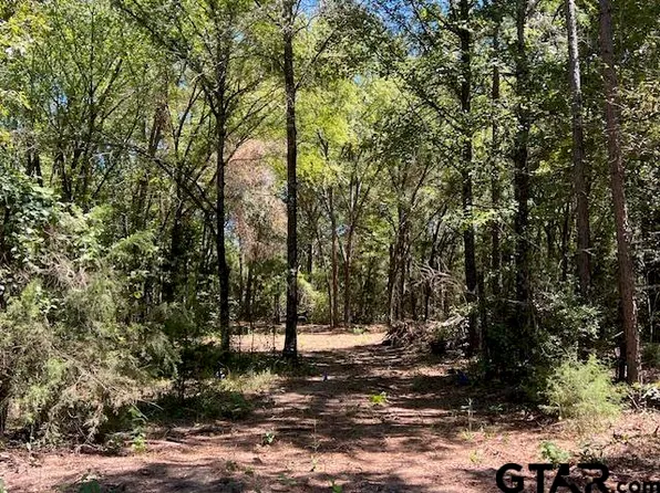 Fm 1519 #3322, Pittsburg, TX 75686