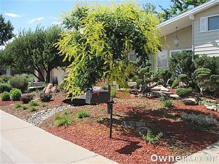 Professionally landscaped front yard