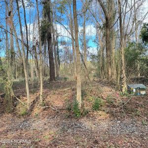 802 Sailhaven Drive, Oriental, NC, 28571