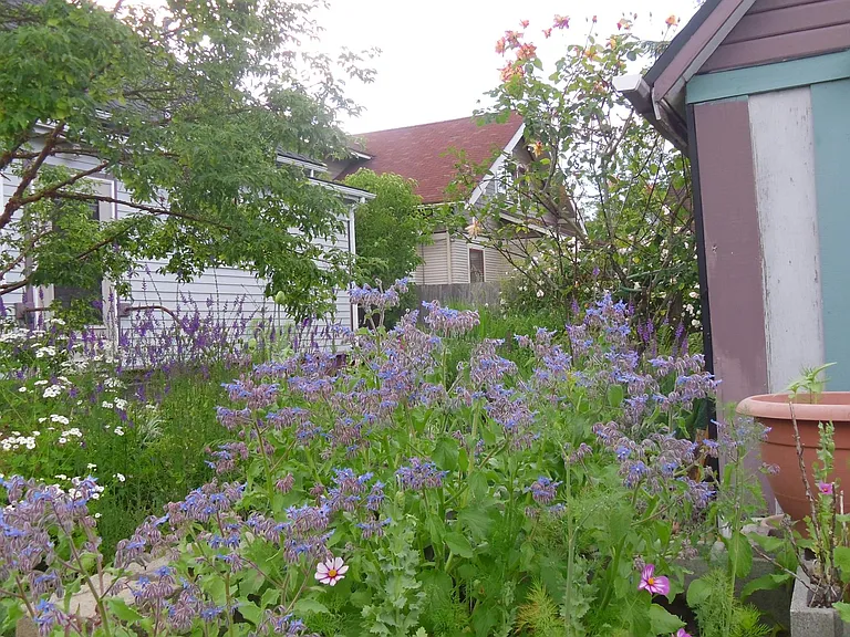 2312 Elizabeth St — Photo 24