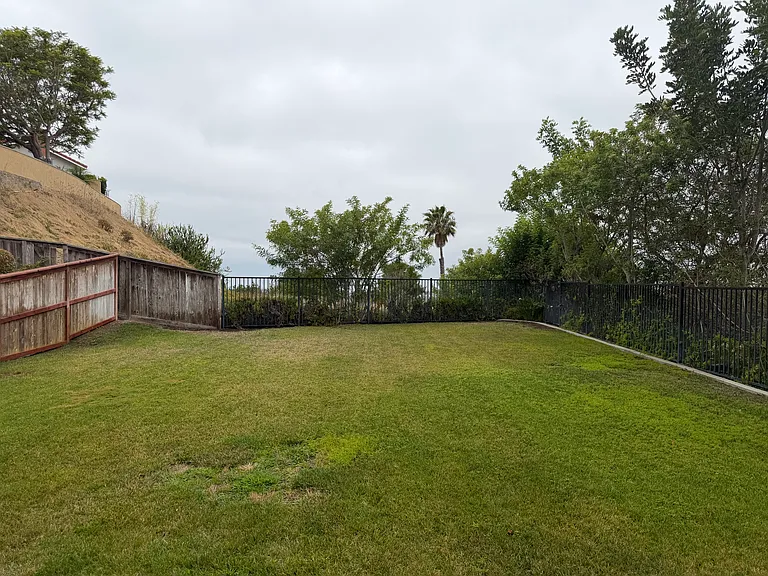 6833 Urubu St — Photo 57