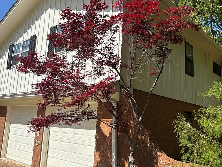 8280 Chippingham Dr — Photo 3