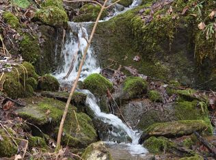 Rice Rd, Flag Pond, TN 37657