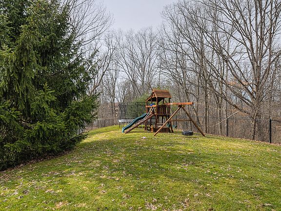 Big Backyard