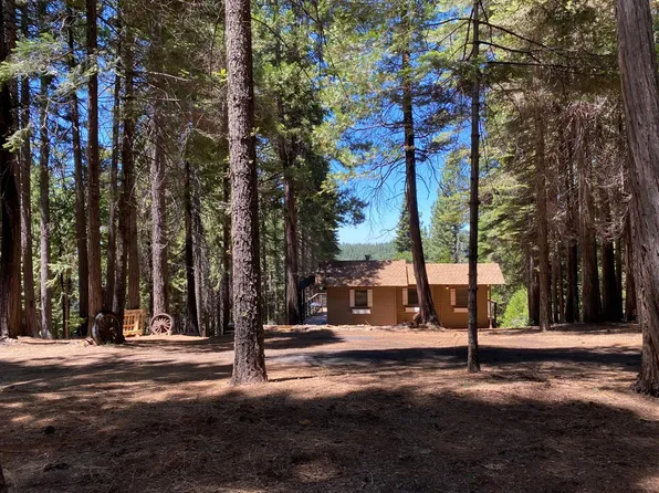27059 Woodland Rd, Pioneer, CA 95666