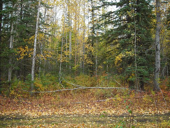 4th image of 20660 N Glenn Hwy