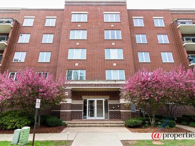 1675 Mill St APT 306, Des Plaines, IL, 60016