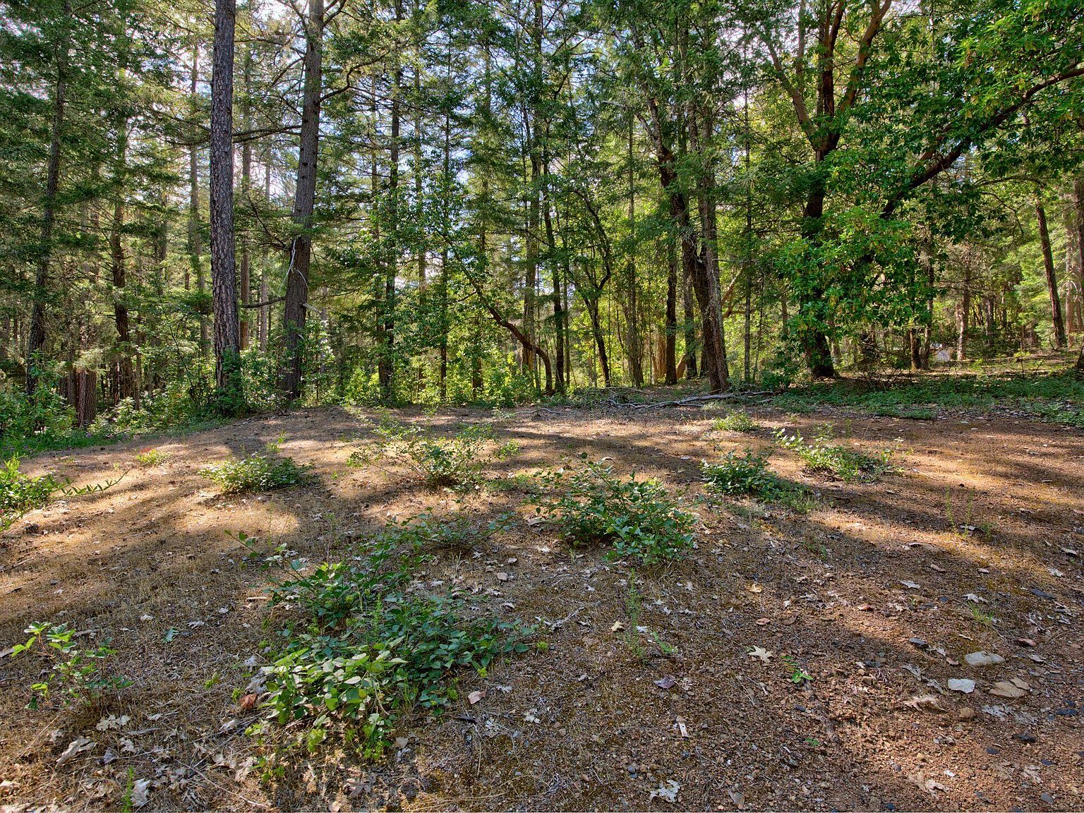 150165 Wonder Ln, Wilderville, OR 97543 Zillow