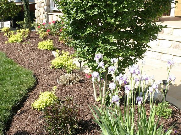 Gorgeous flower beds