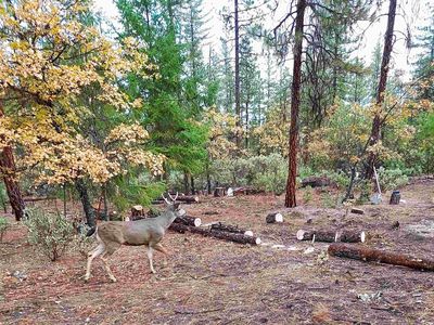 6519 Mill Creek Rd, Fort Jones, CA, 96032