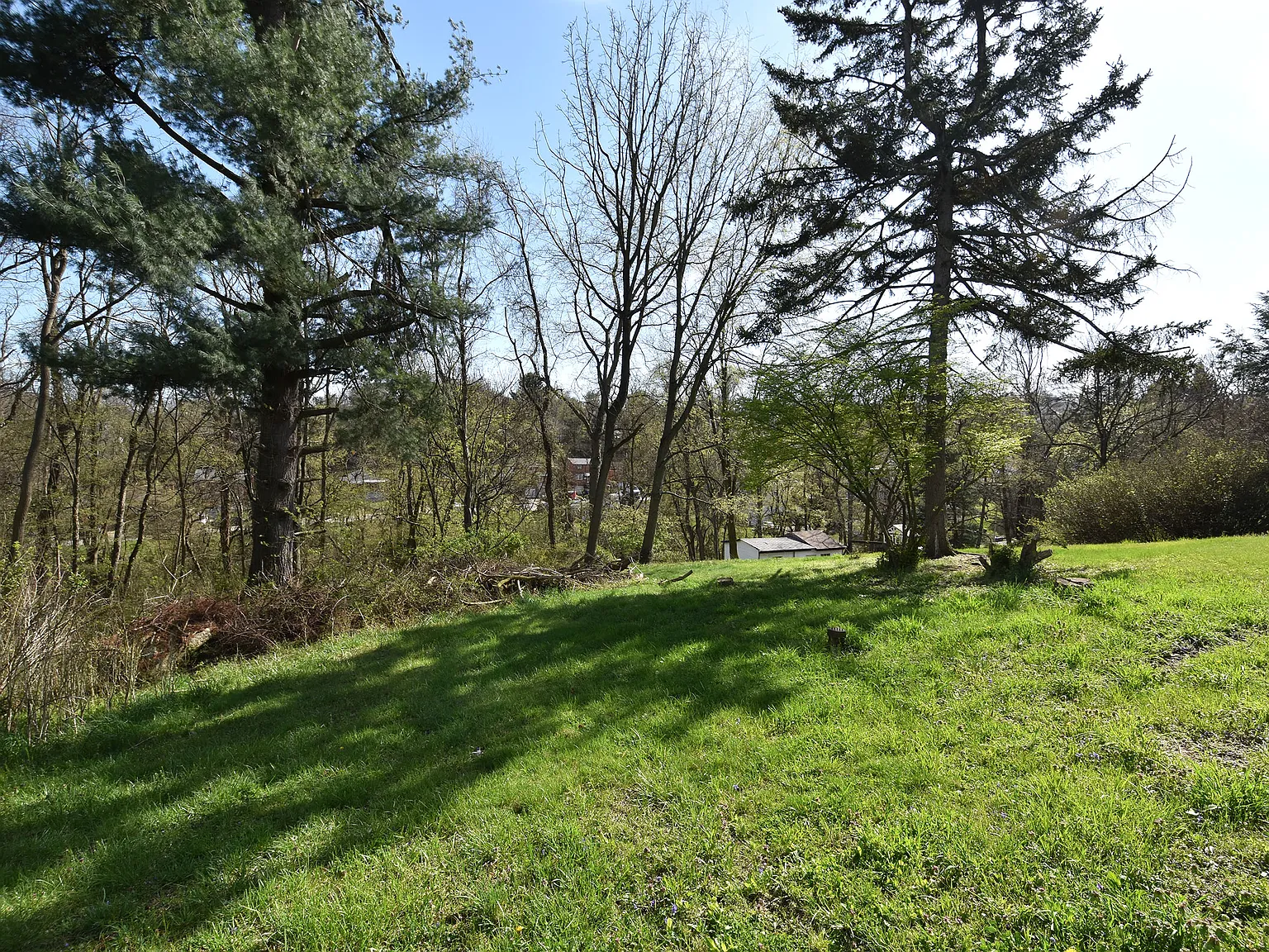 2 bed, 1115 sqft, $1,350 — Photo 4