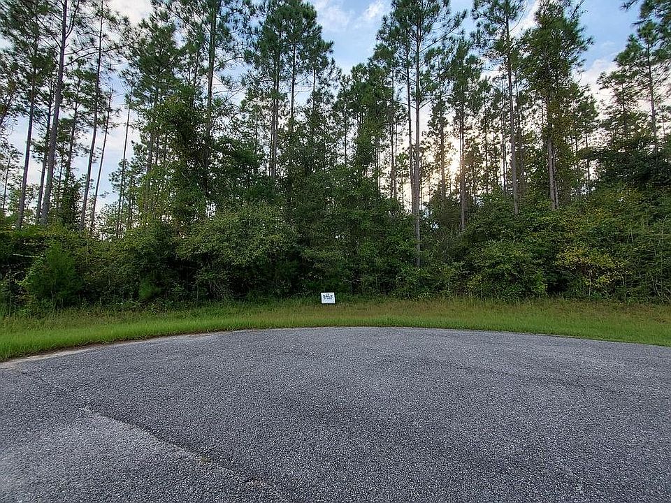 2nd image of Blue Springs Plantaion Lot 22