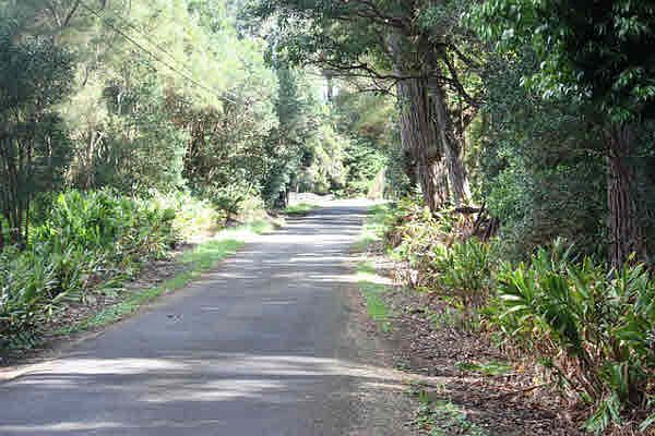 1st image of Kahana Dr