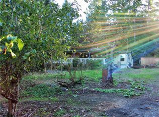 161 Dogwood Ln, Brinnon, WA 98320