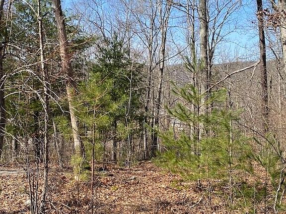 4th image of 0 Forest Acre Trl