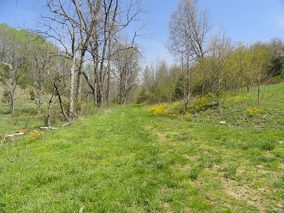 3rd image of Tbd Blue Grass Trail