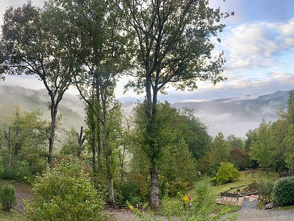 View from deck