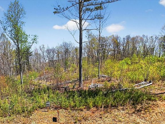 2nd image of 0 Twisted Oak Rd #440