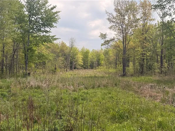 Munson Hill Rd, Ashtabula, OH 44004