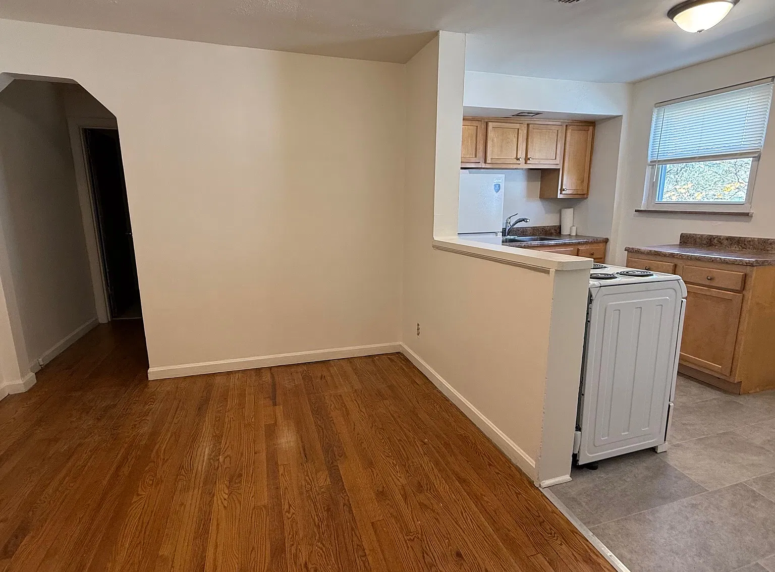 1 bed, $800 — Photo 3