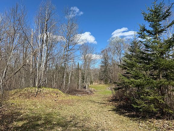 5th image of 41174 Yellow Birch Ln