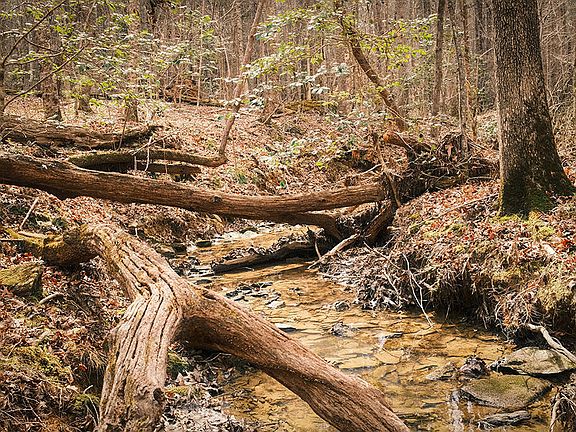 3rd image of 0 Ferguson Rd