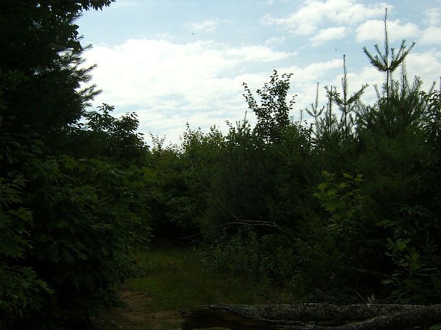 2nd image of 111 Lower Snowbird Trl