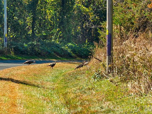 5th image of 0 Bud Davis Rd #8