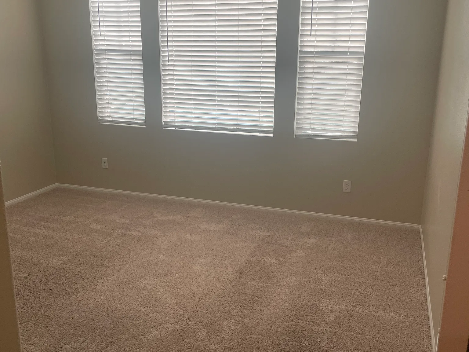 29794 Western Front Dr — Photo 3