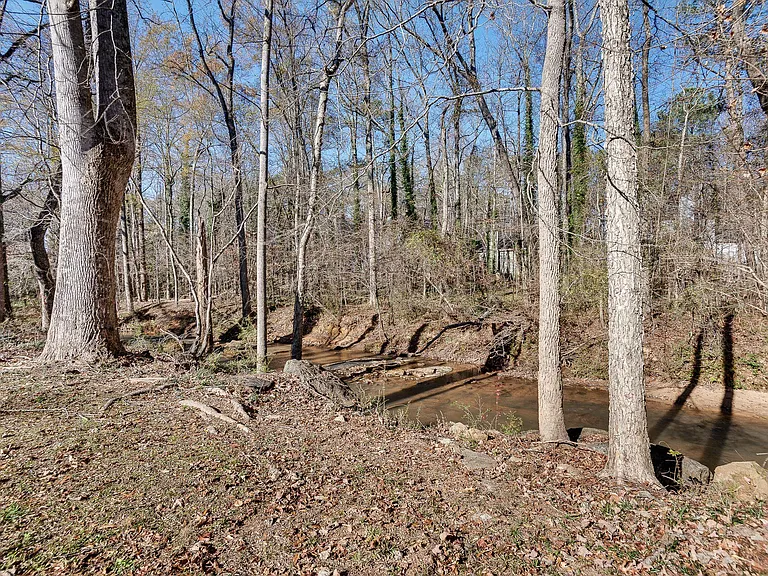Wooded outdoor area with a gently flowing creek and mature trees, offering a peaceful natural setting to enjoy.