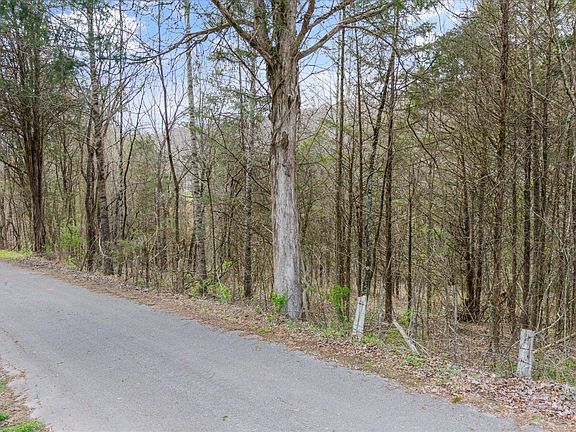 3rd image of 0 Lewis Rd