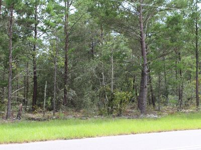 E Buckeye St, Defuniak Springs, FL, 32433