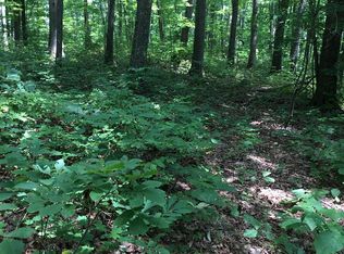 Na Parkstown Rd, Wilder, TN 38589