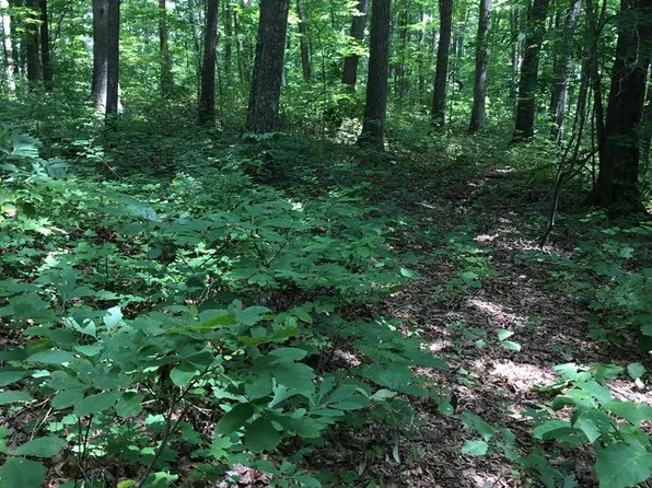 Na Parkstown Rd, Wilder, TN 38589