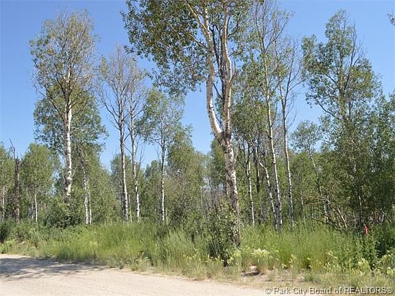 4th image of 9843 Deer Creek Dr