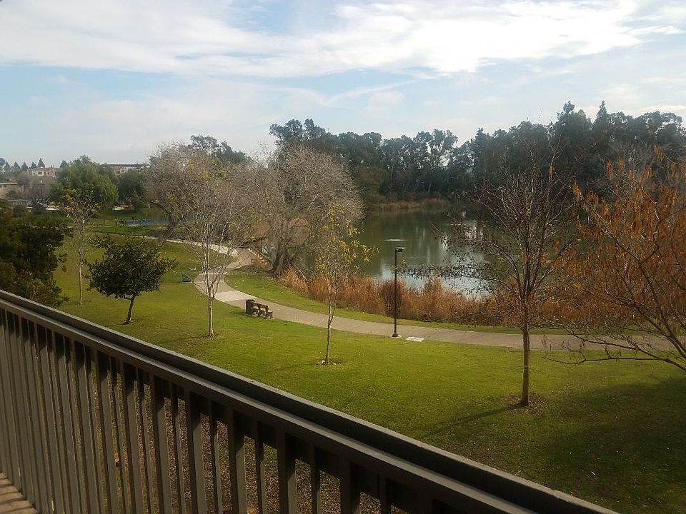 Beautiful View of lake