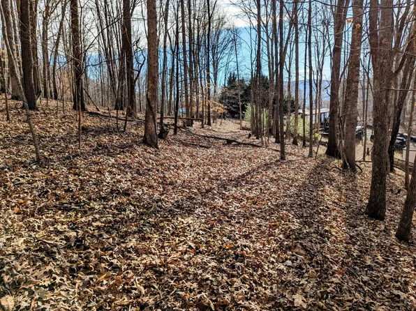 Irish Mountain Rd, Hiwassee, VA 24347