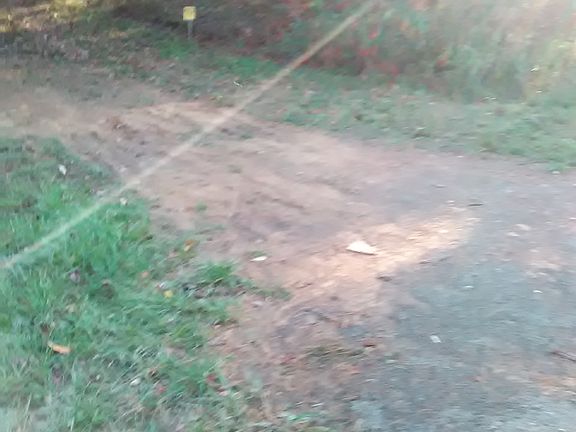 nice lane into property