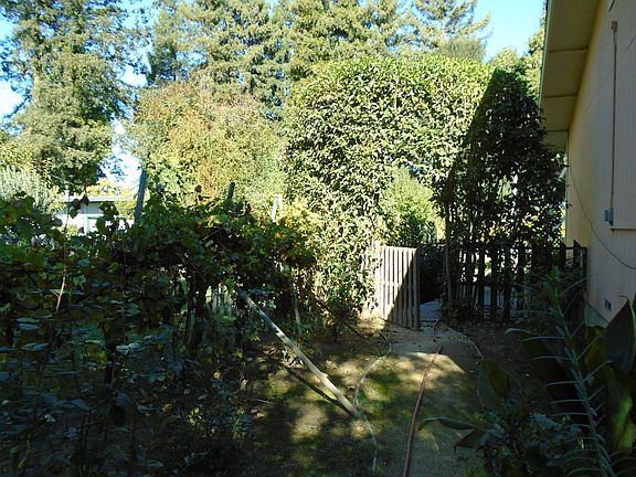 3rd image of 221 Bailhache Ave