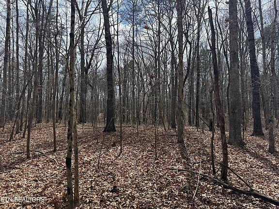 3rd image of 1261 Roanoke Rd