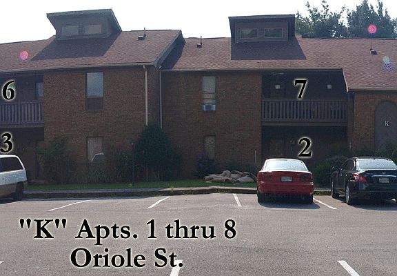 2nd image of 419 Oriole Dr