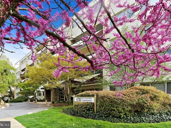 4720 Chevy Chase Dr #1, Chevy Chase, MD 20815